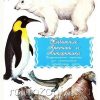 Дидактические карточки Животные Арктики и Антарктики